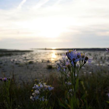 Romantischer Winkel Neuharlingersiel Esterno foto