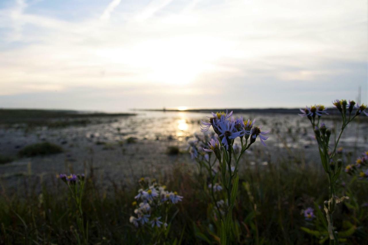 Romantischer Winkel Neuharlingersiel Esterno foto
