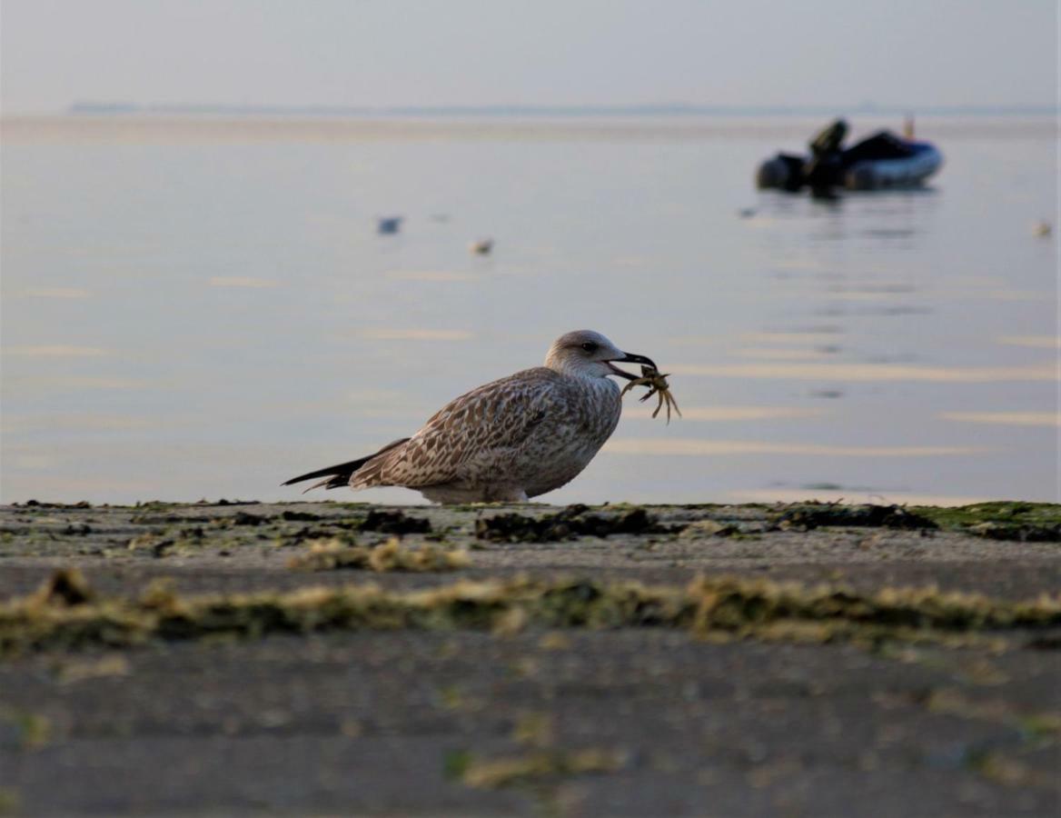 Romantischer Winkel Neuharlingersiel Esterno foto