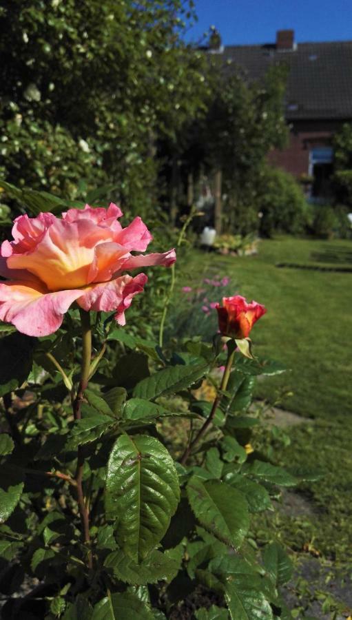 Romantischer Winkel Neuharlingersiel Esterno foto